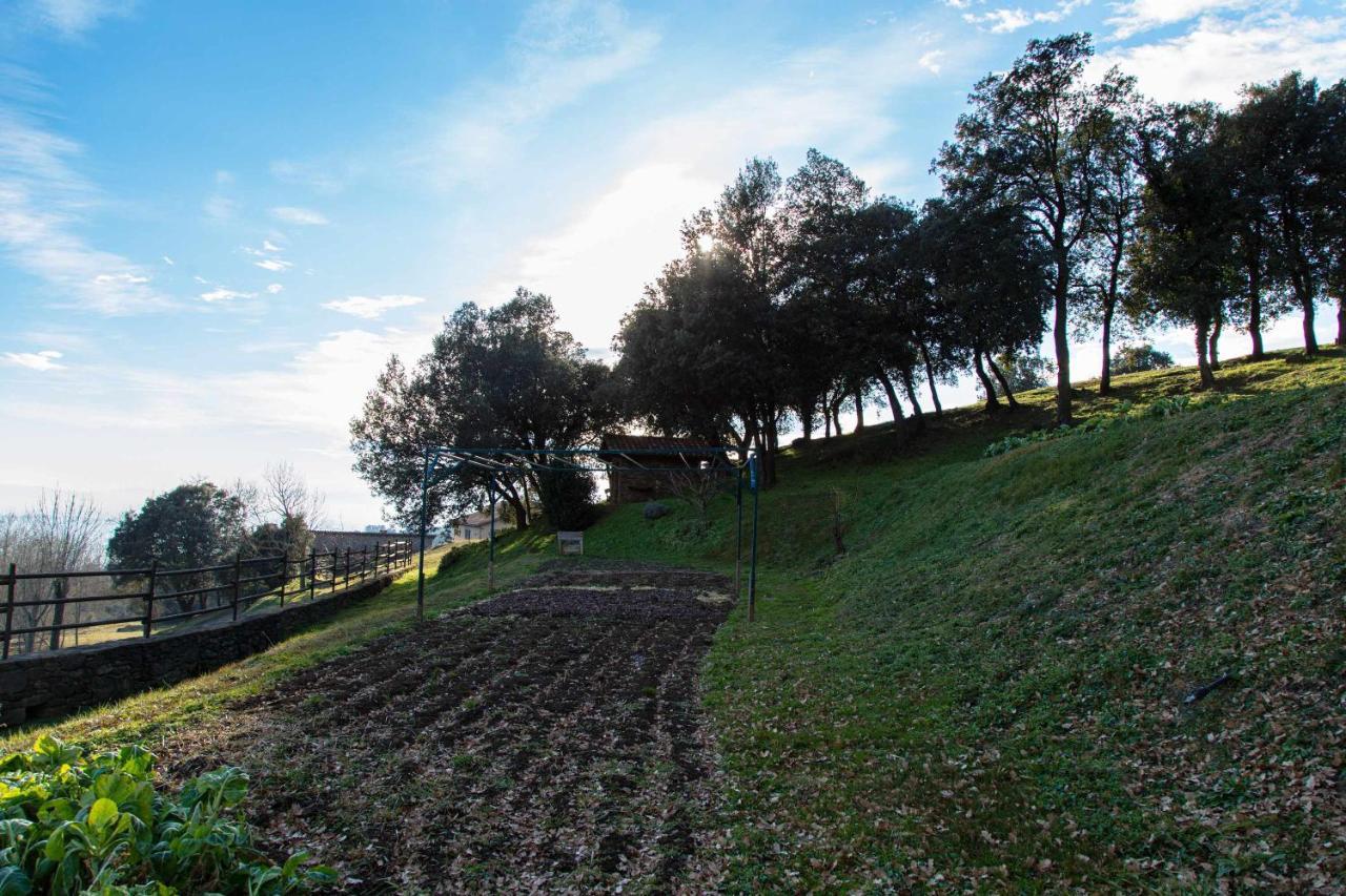 Mas Redortra Excepcional Masia Del Sxv Con Vistas Al Montseny San Pedro de Torelló Dış mekan fotoğraf